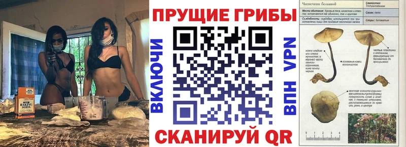 Галлюциногенные грибы мицелий  Купить  Тейково 